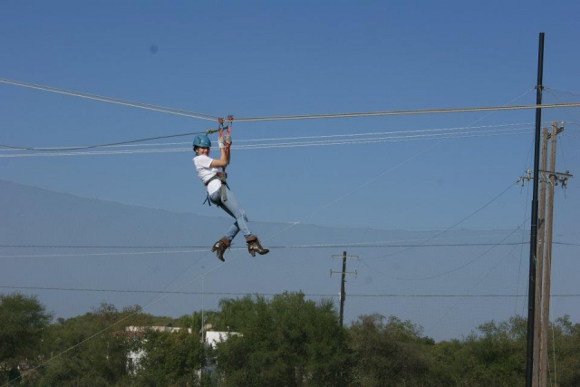 Fliegen und Luft zufächeln